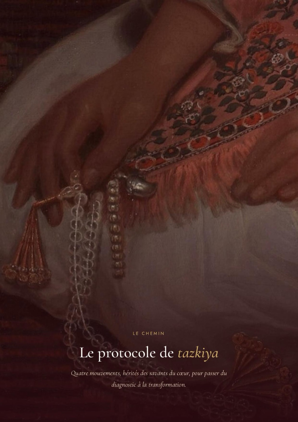 Le chemin, le protocole de purification